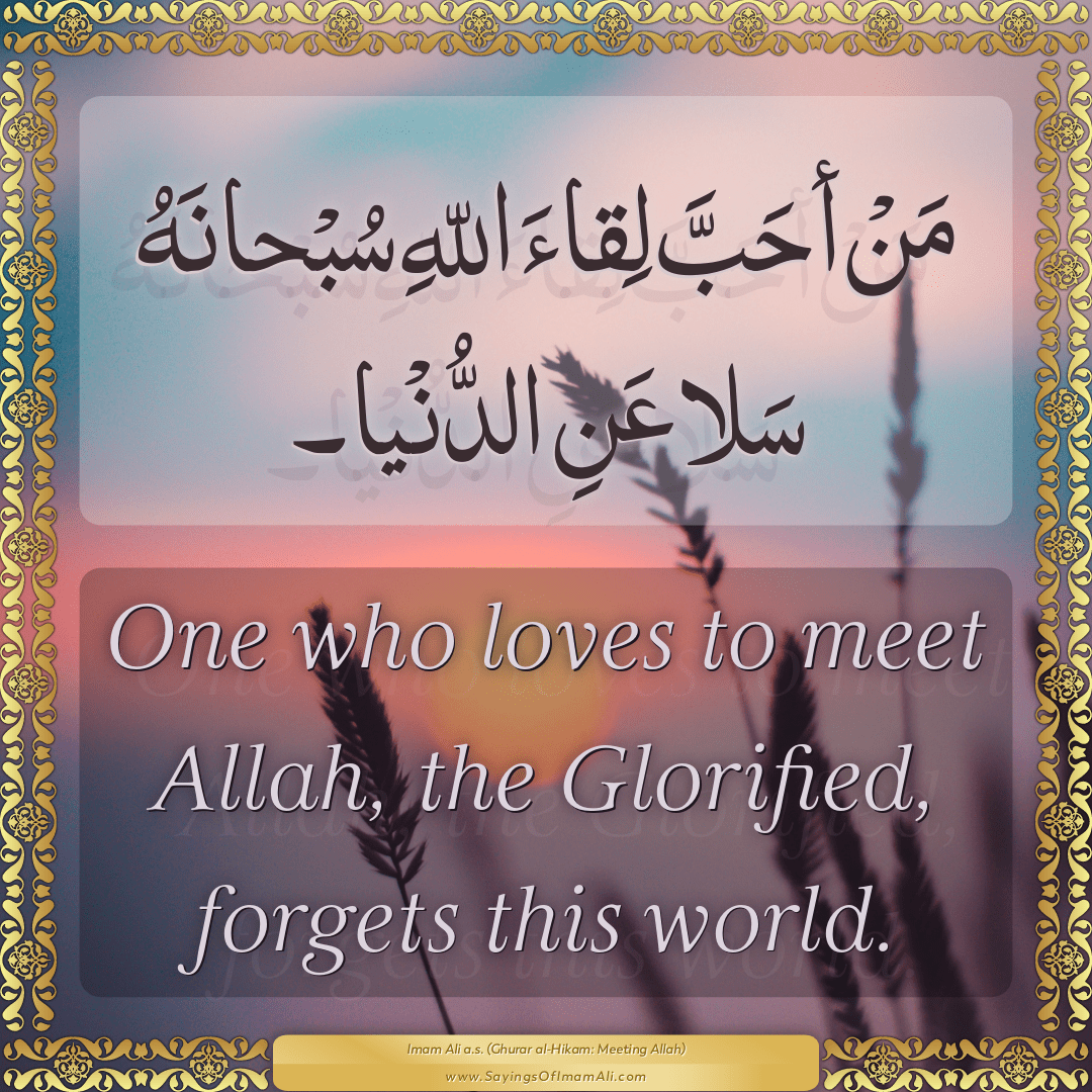 One who loves to meet Allah, the Glorified, forgets this world.